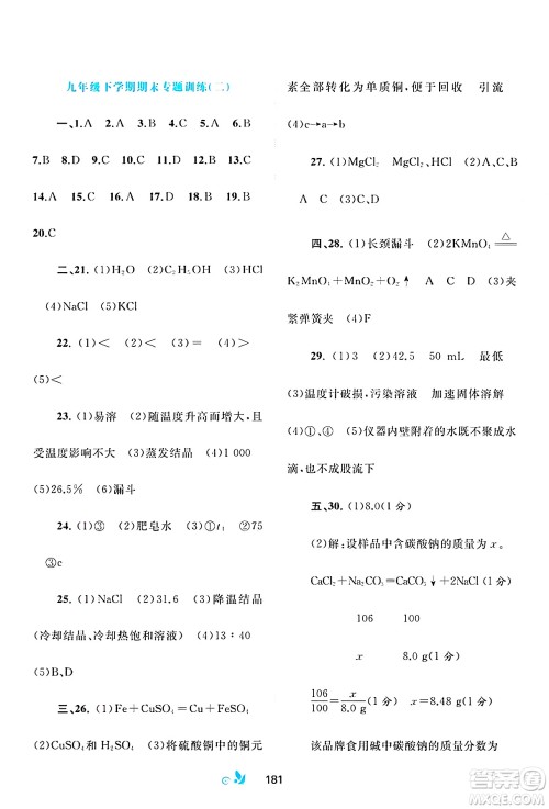 广西师范大学出版社2025年春新课程学习与测评单元双测九年级化学下册A版人教版答案