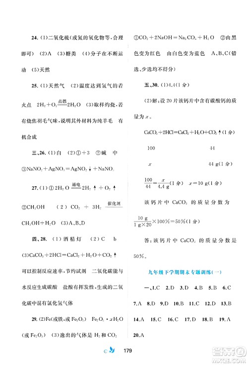广西师范大学出版社2025年春新课程学习与测评单元双测九年级化学下册A版人教版答案