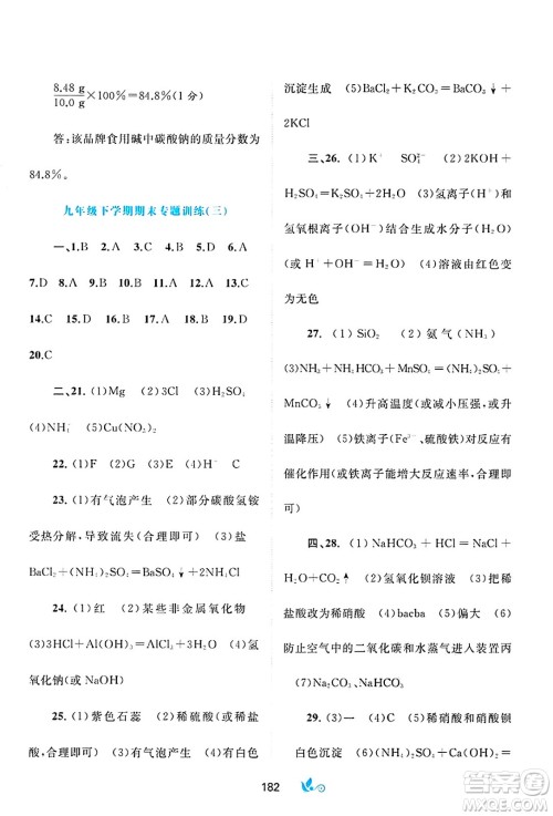 广西师范大学出版社2025年春新课程学习与测评单元双测九年级化学下册A版人教版答案