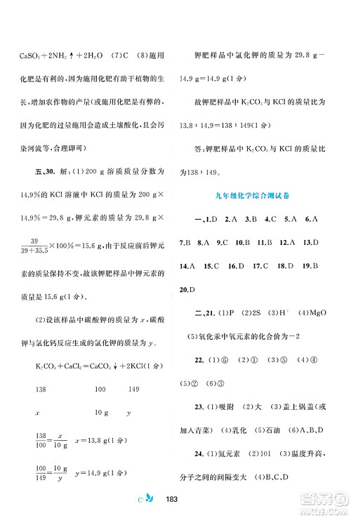 广西师范大学出版社2025年春新课程学习与测评单元双测九年级化学下册A版人教版答案
