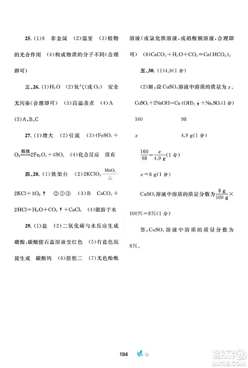 广西师范大学出版社2025年春新课程学习与测评单元双测九年级化学下册A版人教版答案