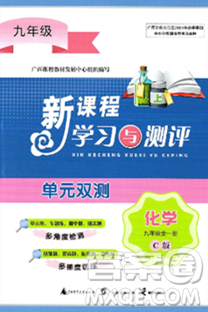 广西师范大学出版社2025年春新课程学习与测评单元双测九年级化学下册C版鲁教版答案