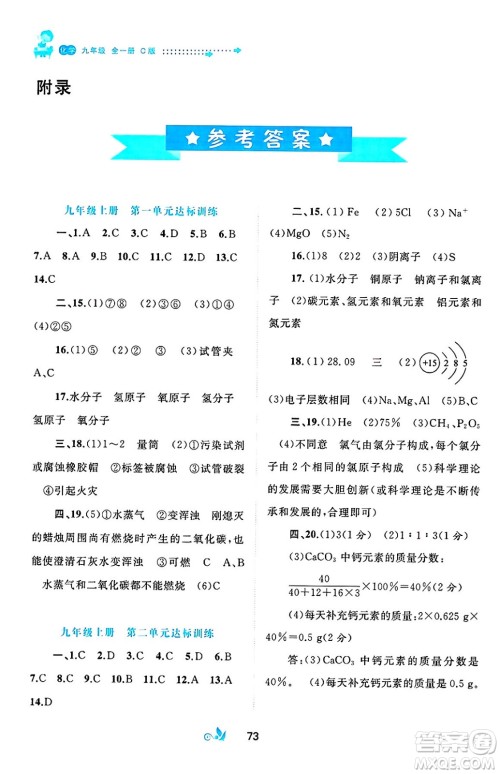 广西师范大学出版社2025年春新课程学习与测评单元双测九年级化学下册C版鲁教版答案