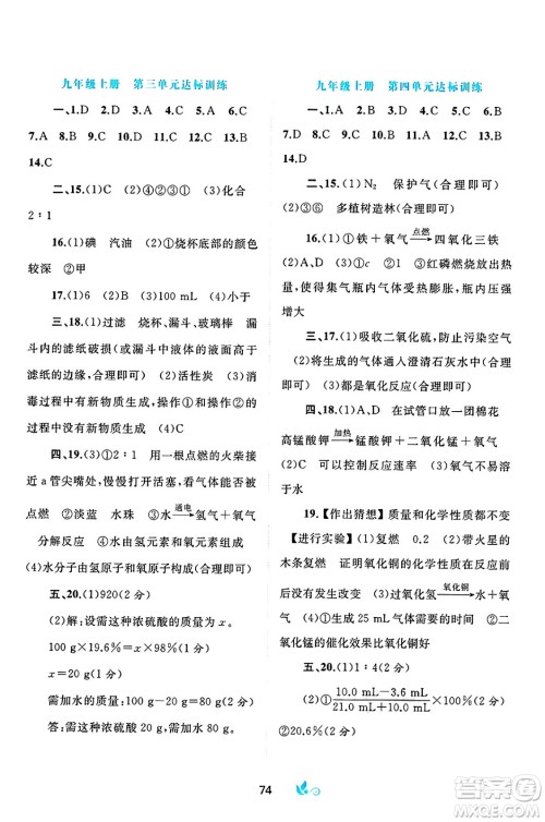 广西师范大学出版社2025年春新课程学习与测评单元双测九年级化学下册C版鲁教版答案