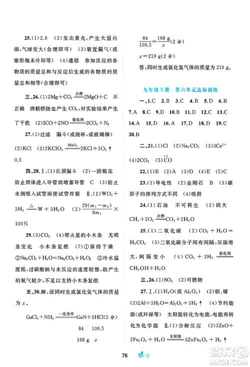 广西师范大学出版社2025年春新课程学习与测评单元双测九年级化学下册C版鲁教版答案