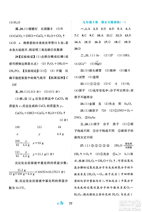 广西师范大学出版社2025年春新课程学习与测评单元双测九年级化学下册C版鲁教版答案