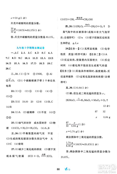 广西师范大学出版社2025年春新课程学习与测评单元双测九年级化学下册C版鲁教版答案