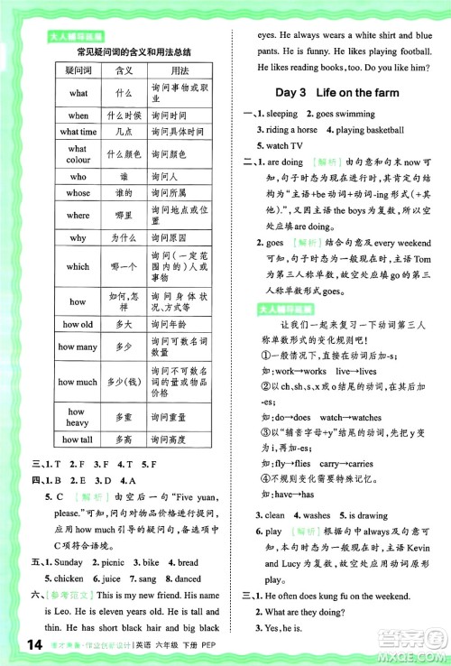 江西人民出版社2025年春王朝霞德才兼备作业创新设计六年级英语下册人教PEP版答案