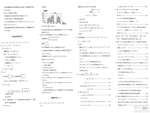 新疆青少年出版社2025年春优学1+1评价与测试七年级数学下册通用版答案 新疆青少年出版社2025年春优学1+1评价与测试七年级数学下册通用版答案