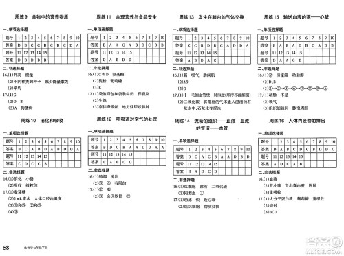 新疆青少年出版社2025年春优学1+1评价与测试七年级生物下册通用版答案