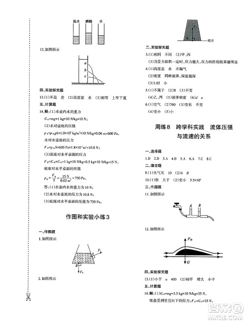 新疆青少年出版社2025年春优学1+1评价与测试八年级物理下册通用版答案