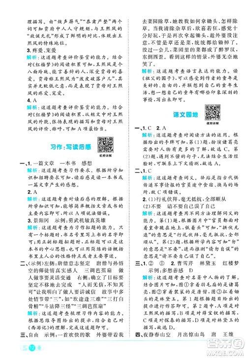 江西教育出版社2025年春阳光同学课时优化作业五年级语文下册人教版答案