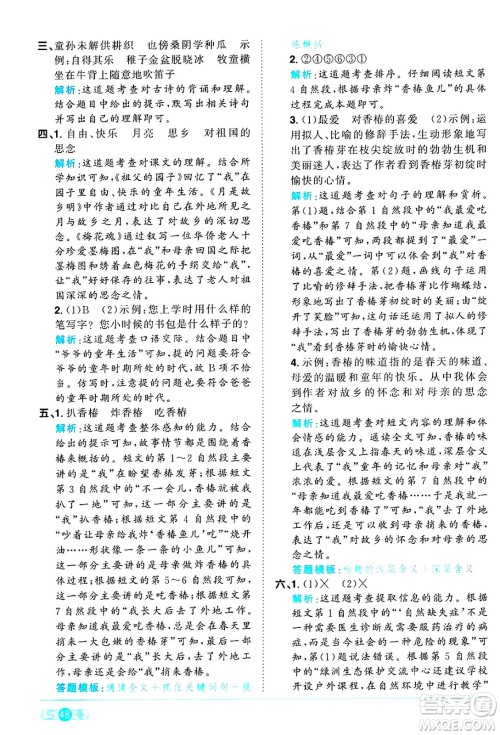 江西教育出版社2025年春阳光同学课时优化作业五年级语文下册人教版答案