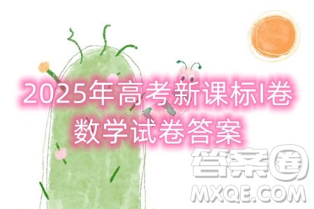 2025年高考新课标I卷数学试卷答案解析