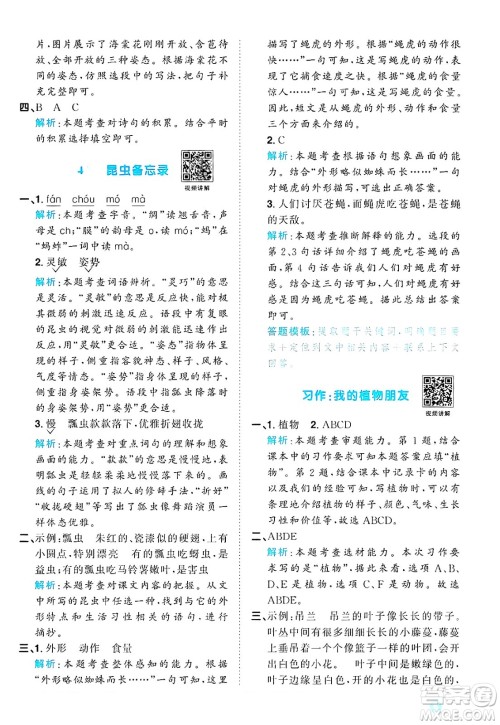 江西教育出版社2025年春阳光同学课时优化作业三年级语文下册人教版答案