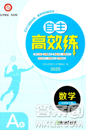 浙江教育出版社2025年春自主高效练七年级数学下册浙教版答案
