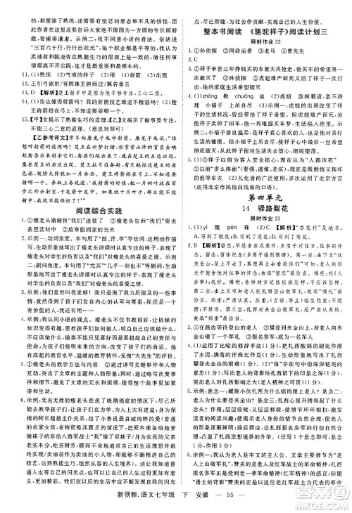 延边大学出版社2025年春优翼新领程七年级语文下册人教版安徽专版答案