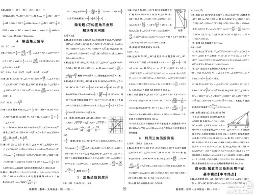 延边大学出版社2025年春优翼新领程九年级数学下册北师大版贵州专版答案