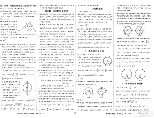 延边大学出版社2025年春优翼新领程九年级数学下册北师大版贵州专版答案