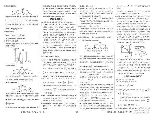 延边大学出版社2025年春优翼新领程九年级数学下册北师大版贵州专版答案