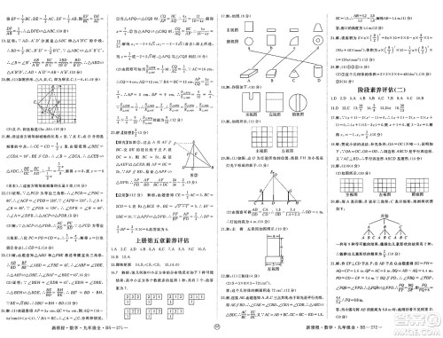 延边大学出版社2025年春优翼新领程九年级数学下册北师大版贵州专版答案