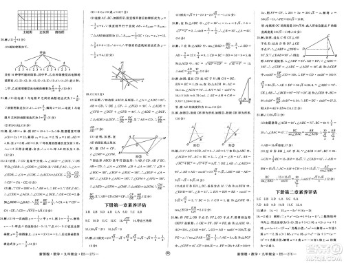 延边大学出版社2025年春优翼新领程九年级数学下册北师大版贵州专版答案