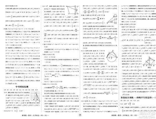 延边大学出版社2025年春优翼新领程九年级数学下册北师大版贵州专版答案