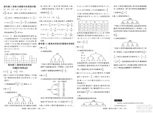 延边大学出版社2025年春优翼新领程九年级数学下册沪科版答案