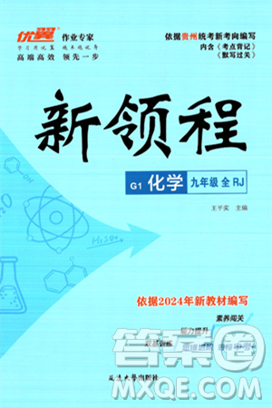 延边大学出版社2025年春优翼新领程九年级化学下册人教版贵州专版答案