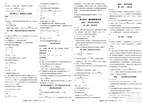 延边大学出版社2025年春优翼新领程九年级化学下册人教版贵州专版答案