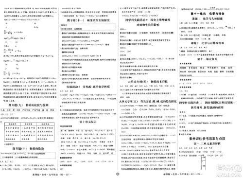 延边大学出版社2025年春优翼新领程九年级化学下册人教版贵州专版答案