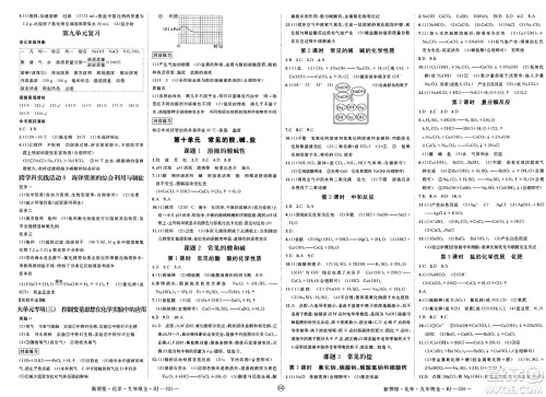 延边大学出版社2025年春优翼新领程九年级化学下册人教版贵州专版答案