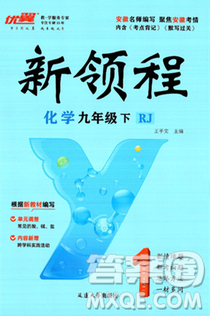 延边大学出版社2025年春优翼新领程九年级化学下册人教版安徽专版答案