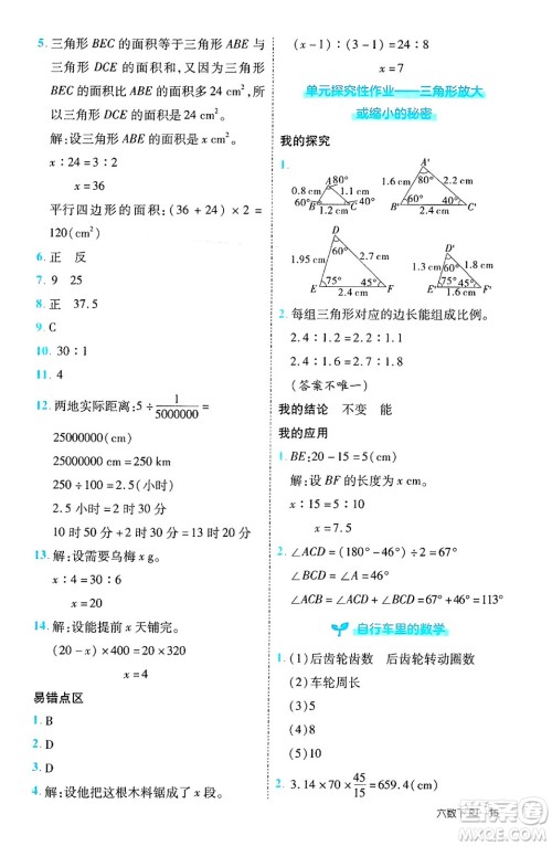 武汉出版社2025年春优翼新领程六年级数学下册人教版福建专版答案
