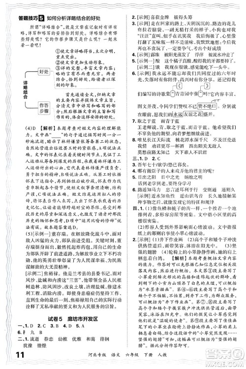 江西人民出版社2025年春王朝霞河北各地期末试卷精选六年级语文下册人教版河北专版答案