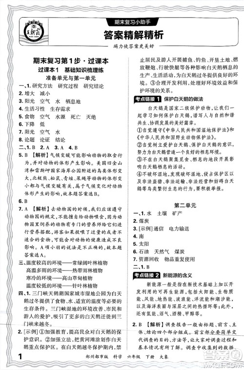江西人民出版社2025年春王朝霞郑州期末真题精编六年级科学下册大象版郑州都市版答案