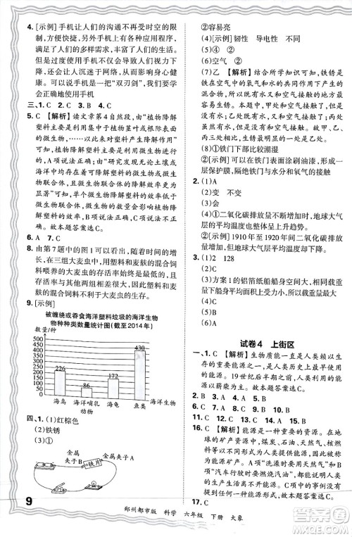 江西人民出版社2025年春王朝霞郑州期末真题精编六年级科学下册大象版郑州都市版答案