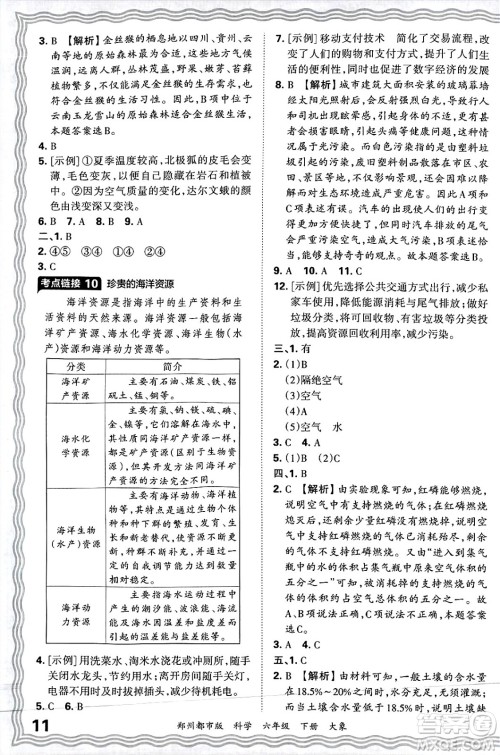 江西人民出版社2025年春王朝霞郑州期末真题精编六年级科学下册大象版郑州都市版答案
