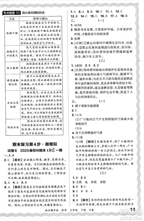江西人民出版社2025年春王朝霞郑州期末真题精编六年级科学下册大象版郑州都市版答案
