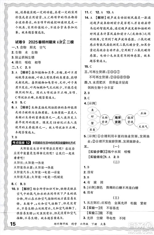 江西人民出版社2025年春王朝霞郑州期末真题精编六年级科学下册大象版郑州都市版答案