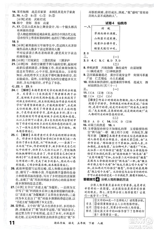 江西人民出版社2025年春王朝霞湖北各地期末试卷精选五年级语文下册人教版湖北专版答案