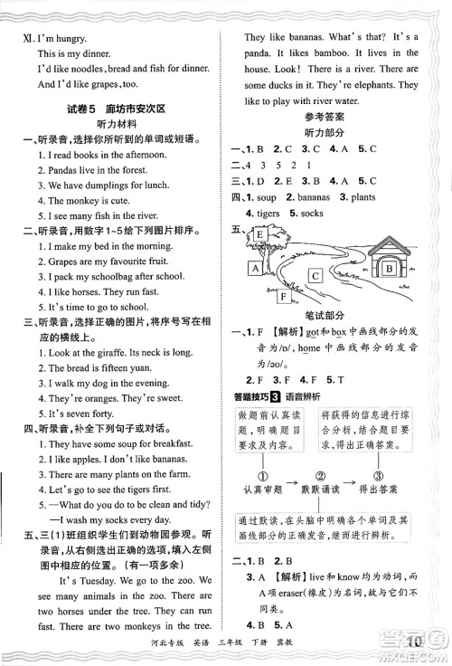 江西人民出版社2025年春王朝霞河北各地期末试卷精选三年级英语下册冀教版河北专版答案