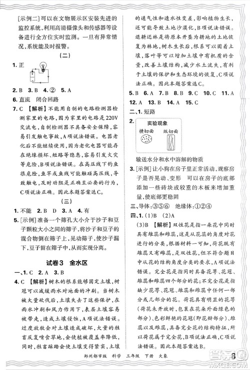 江西人民出版社2025年春王朝霞郑州期末真题精编三年级科学下册大象版郑州都市版答案 江西人民出版社2025年春王朝霞郑州期末真题精编三年级科学下册大象版郑州都市版答案