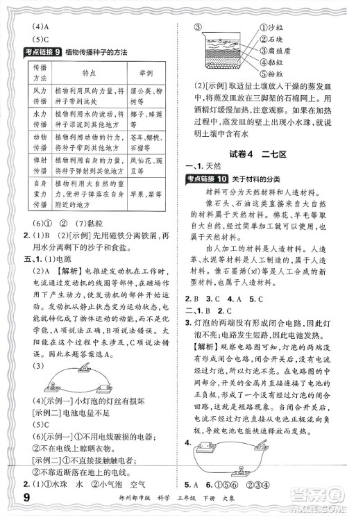 江西人民出版社2025年春王朝霞郑州期末真题精编三年级科学下册大象版郑州都市版答案 江西人民出版社2025年春王朝霞郑州期末真题精编三年级科学下册大象版郑州都市版答案