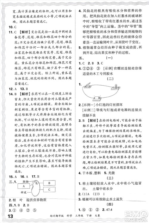 江西人民出版社2025年春王朝霞郑州期末真题精编三年级科学下册大象版郑州都市版答案 江西人民出版社2025年春王朝霞郑州期末真题精编三年级科学下册大象版郑州都市版答案