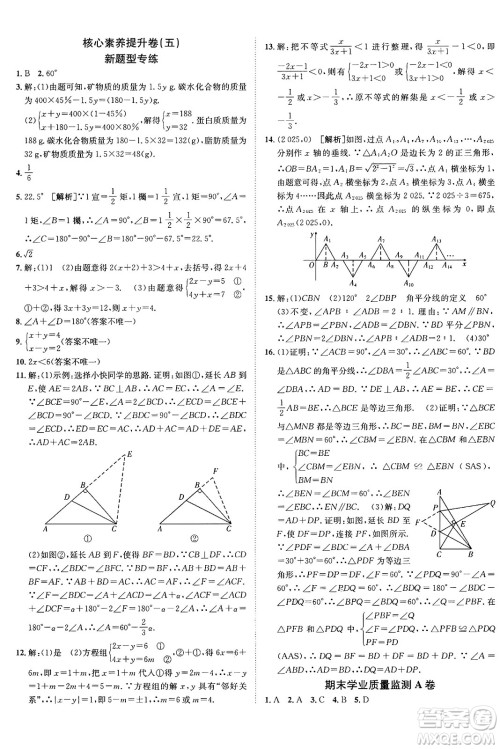 新疆青少年出版社2025年春神龙教育非常海淀单元测试AB卷七年级数学下册鲁教版答案 新疆青少年出版社2025年春神龙教育非常海淀单元测试AB卷七年级数学下册鲁教版答案