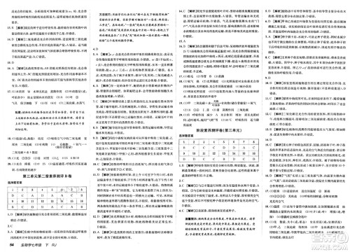 新疆青少年出版社2025年春神龙教育非常海淀单元测试AB卷七年级生物下册人教版答案 新疆青少年出版社2025年春神龙教育非常海淀单元测试AB卷七年级生物下册人教版答案