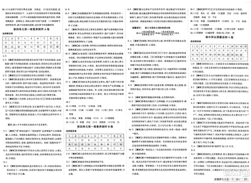 新疆青少年出版社2025年春神龙教育非常海淀单元测试AB卷七年级生物下册人教版答案 新疆青少年出版社2025年春神龙教育非常海淀单元测试AB卷七年级生物下册人教版答案