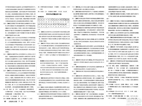 新疆青少年出版社2025年春神龙教育非常海淀单元测试AB卷七年级生物下册人教版答案 新疆青少年出版社2025年春神龙教育非常海淀单元测试AB卷七年级生物下册人教版答案