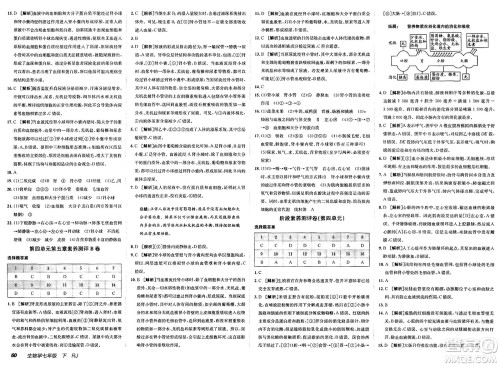 新疆青少年出版社2025年春神龙教育非常海淀单元测试AB卷七年级生物下册人教版答案 新疆青少年出版社2025年春神龙教育非常海淀单元测试AB卷七年级生物下册人教版答案